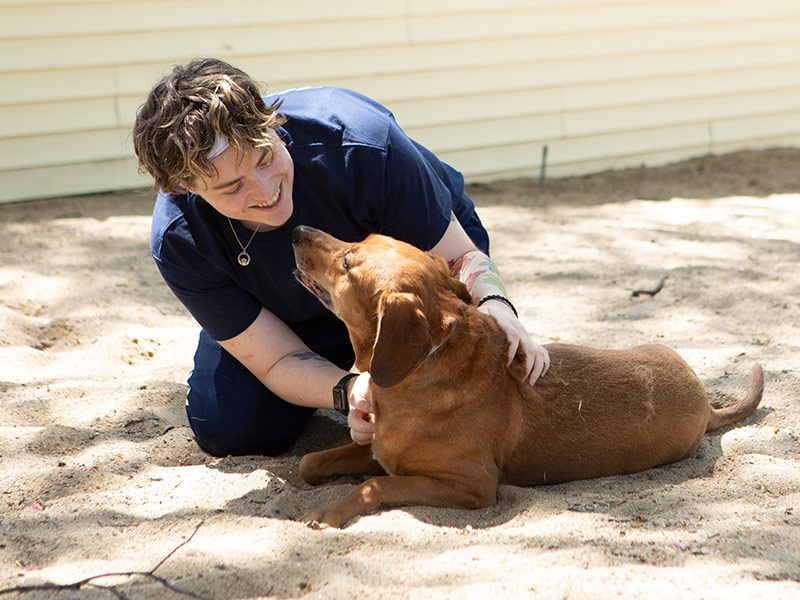 Emergency pet care